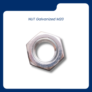 NUT Galvanized M20